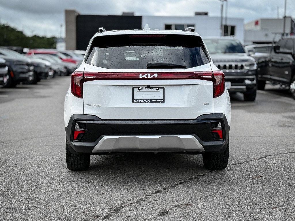 Image 5