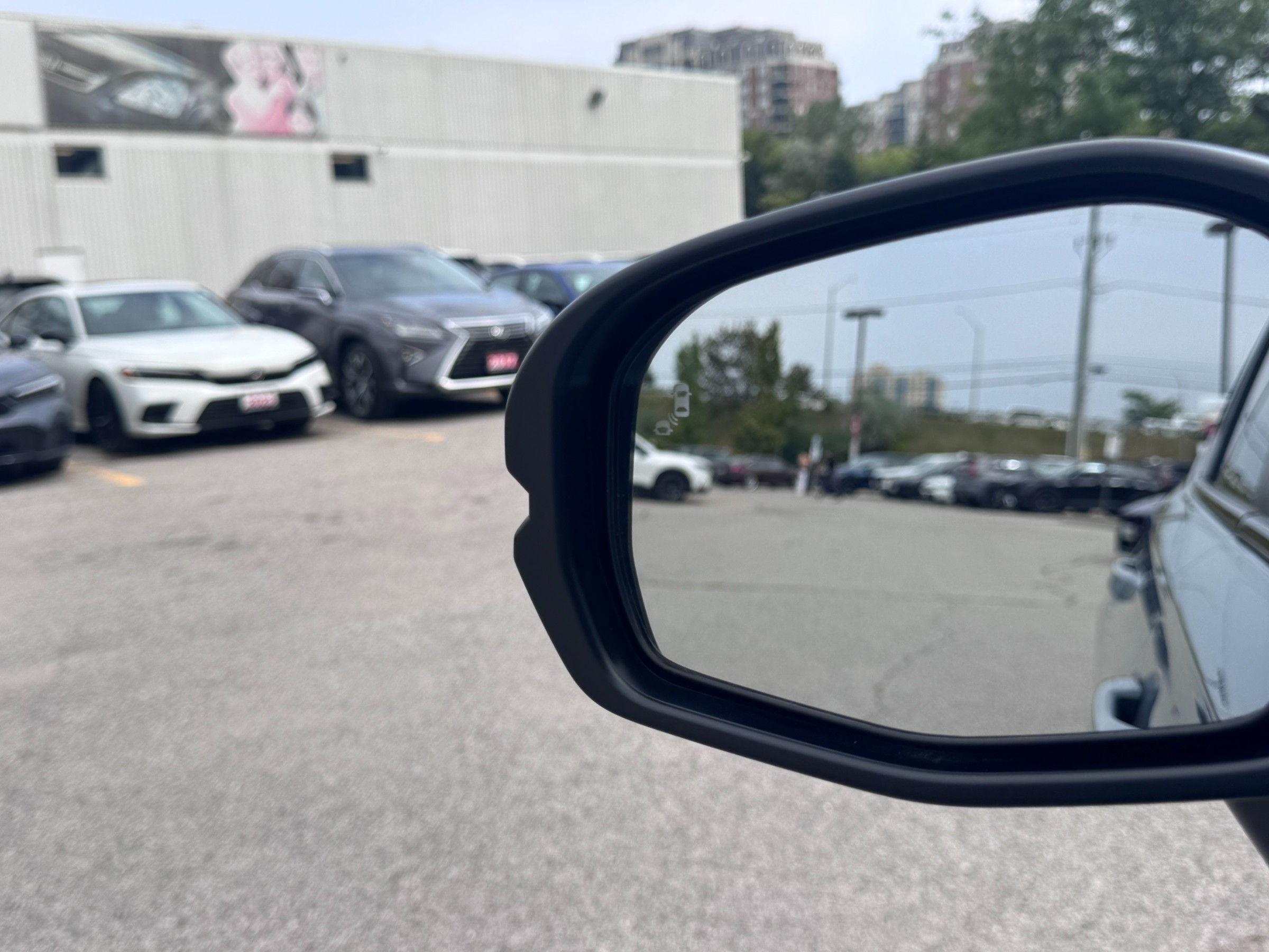 Image 15