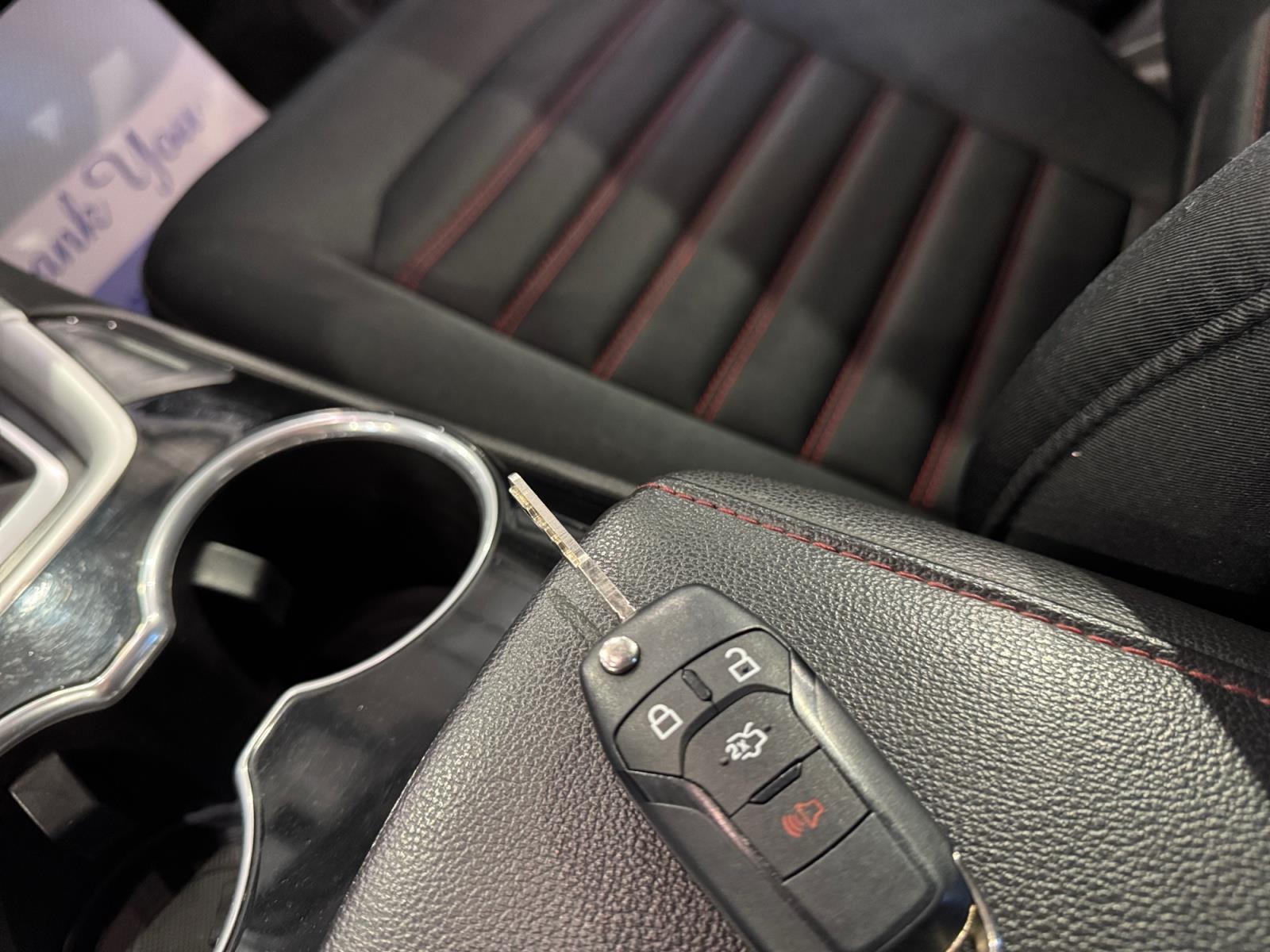 Image 16