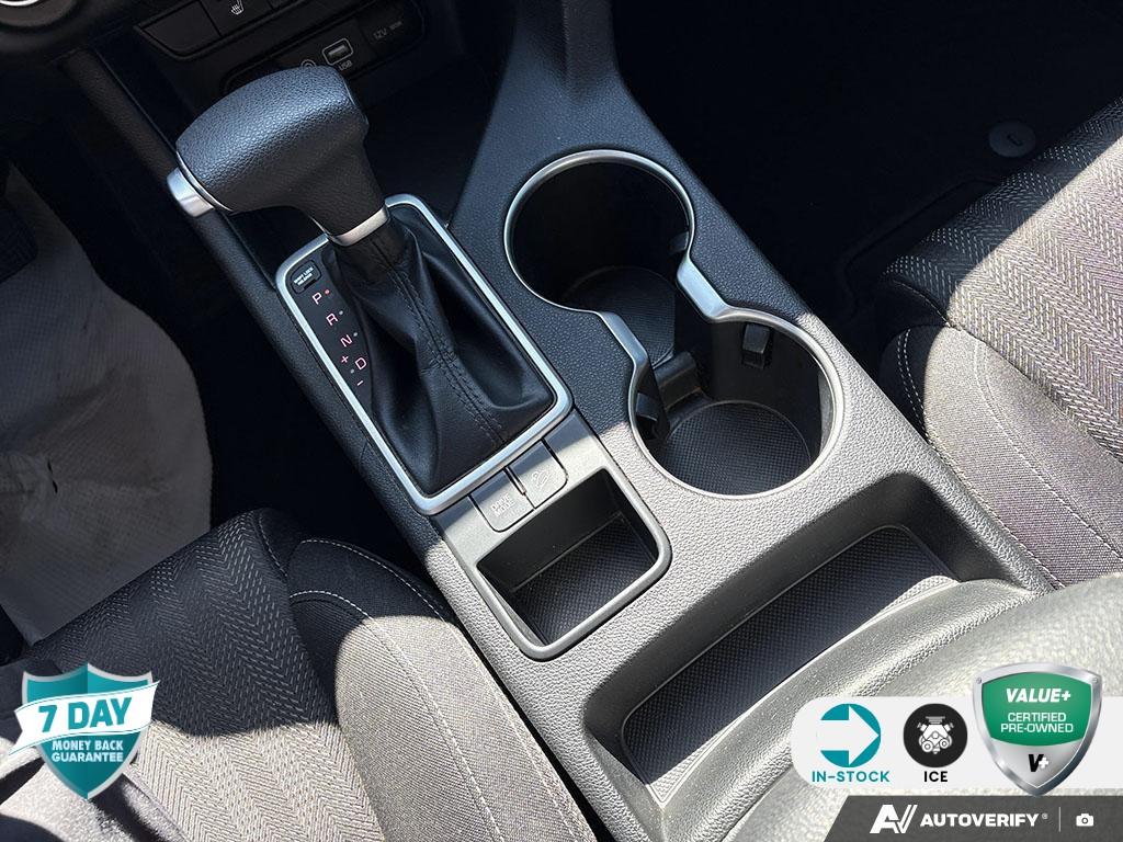 Image 16