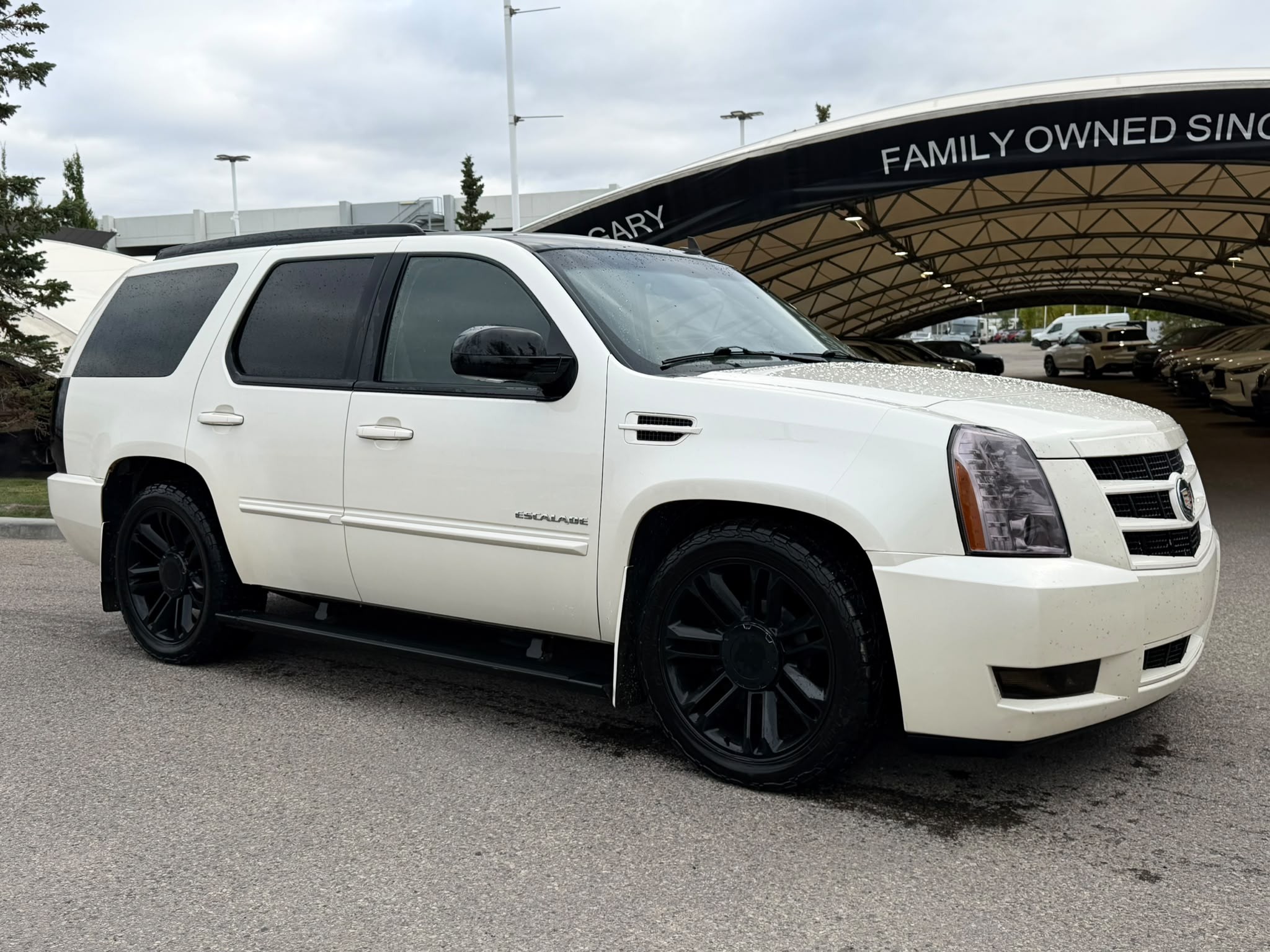 2014 Cadillac Escalade