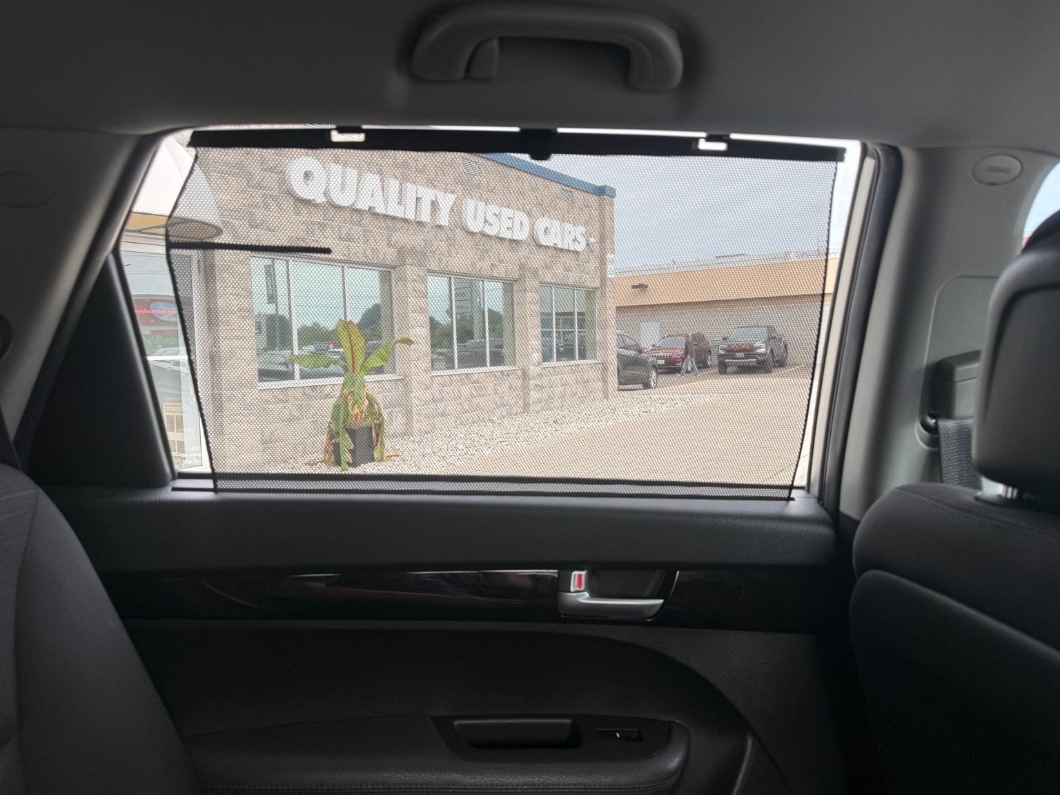 Image 10