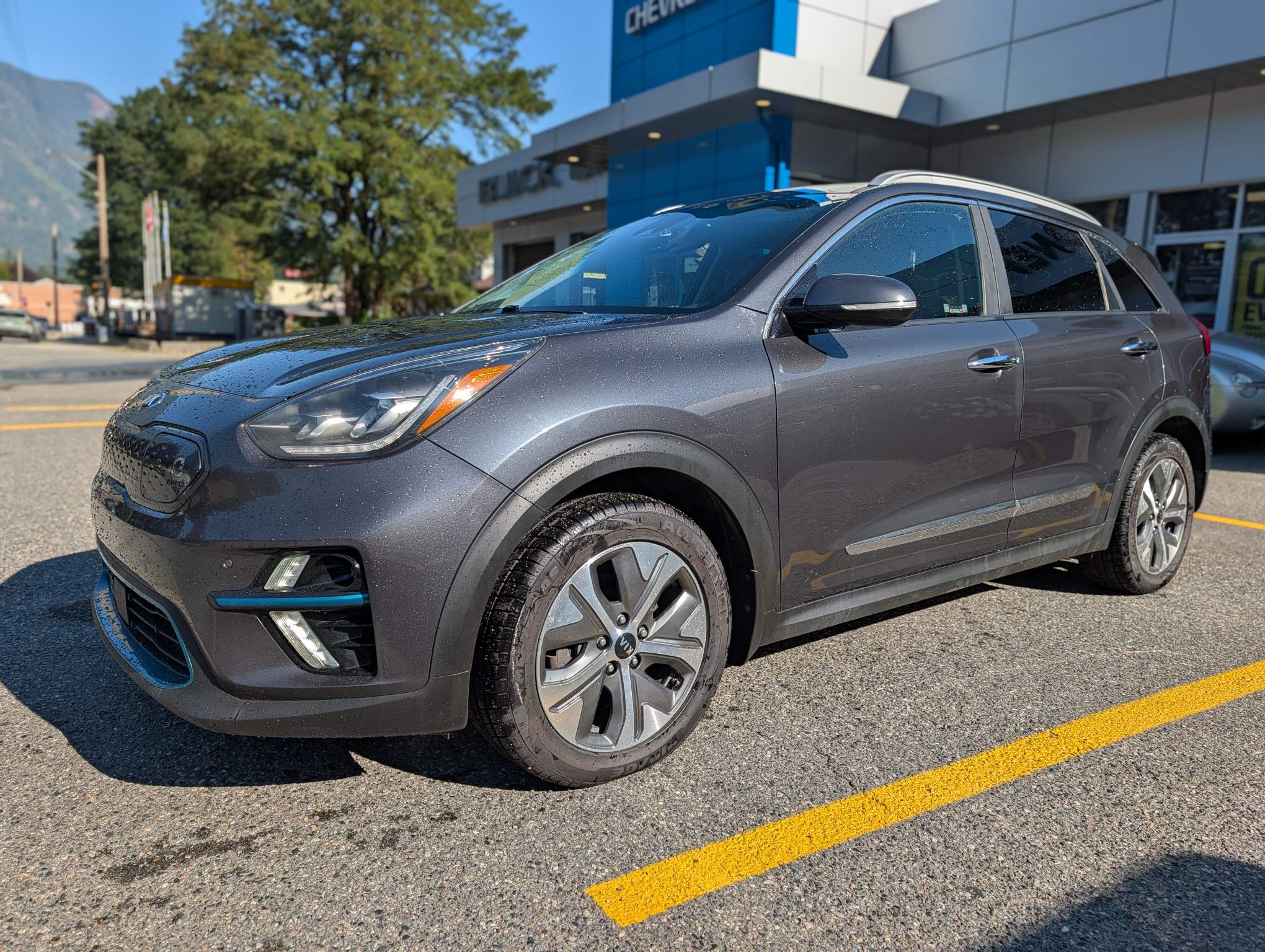 2019 Kia Niro EV