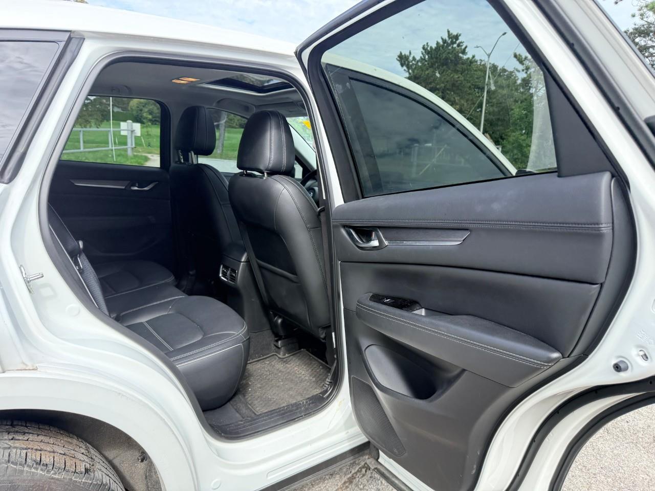 Image 19