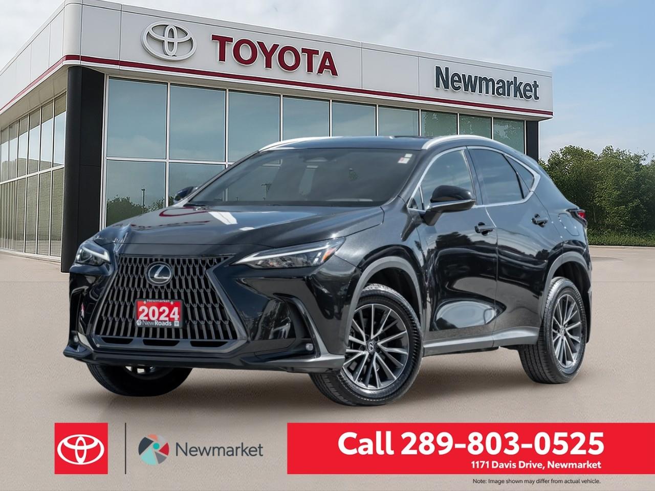 2024 Lexus NX