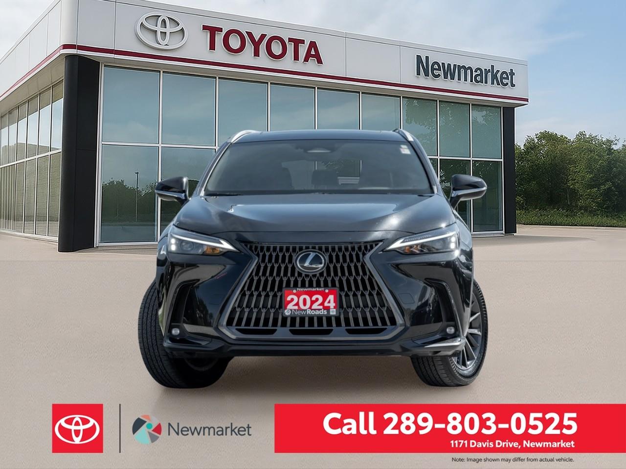 2024 Lexus NX