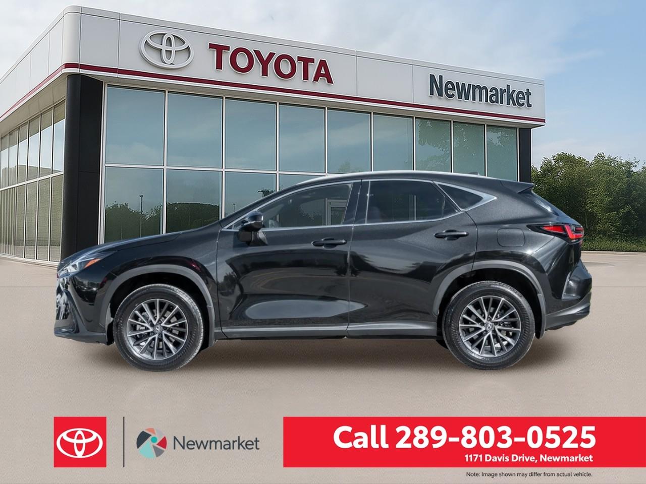 2024 Lexus NX