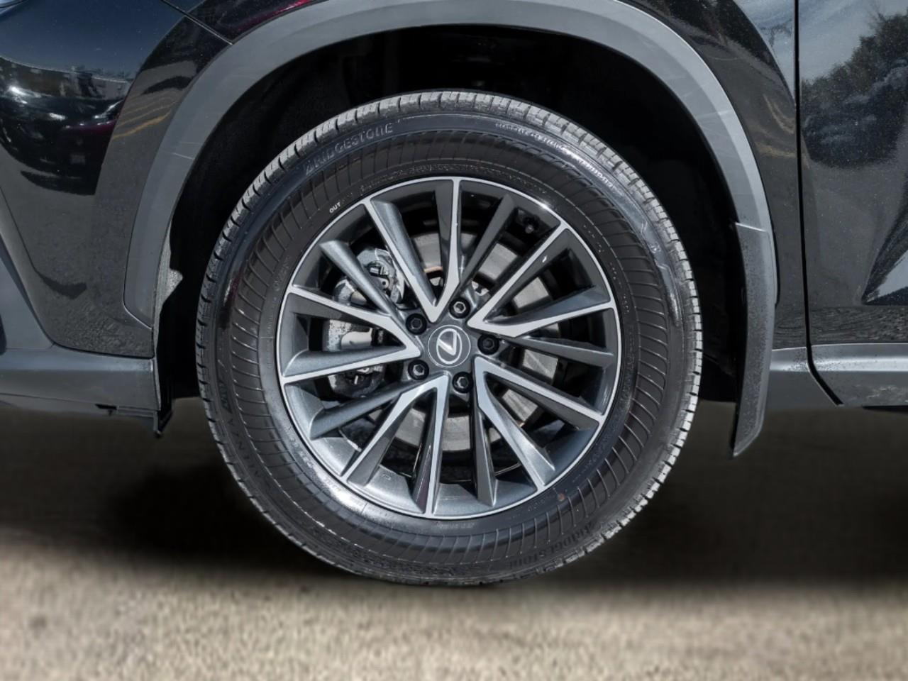 2024 Lexus NX