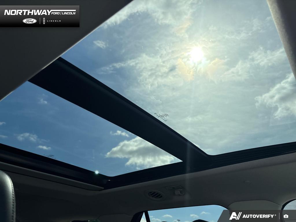 Image 19