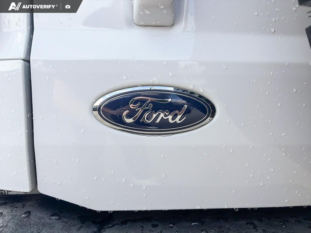 Image 8