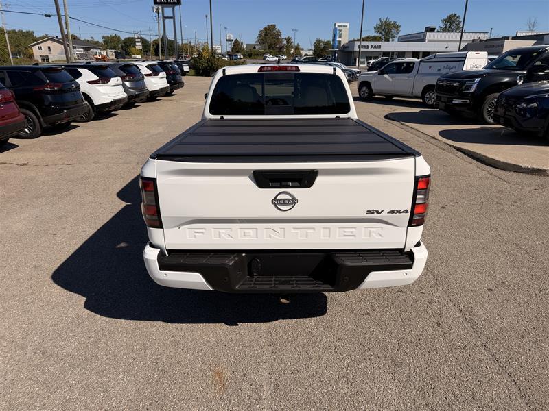 Image 5