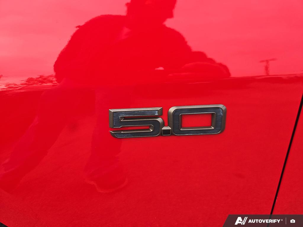 Image 9