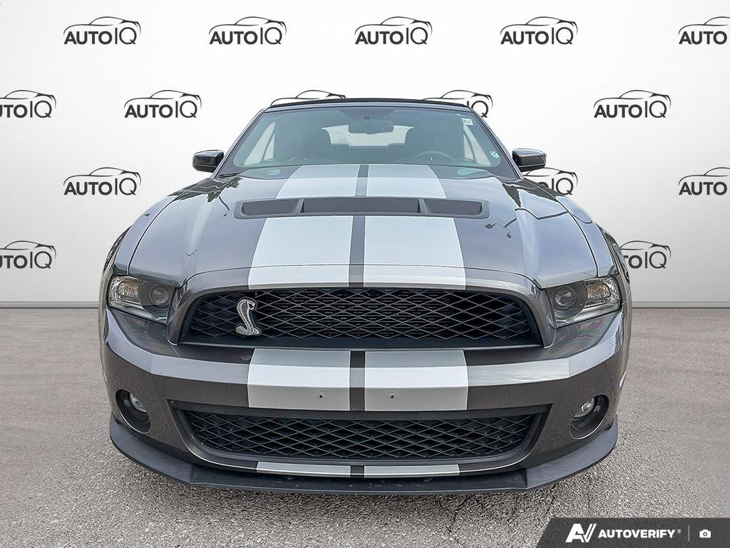 2010 Ford Shelby GT500