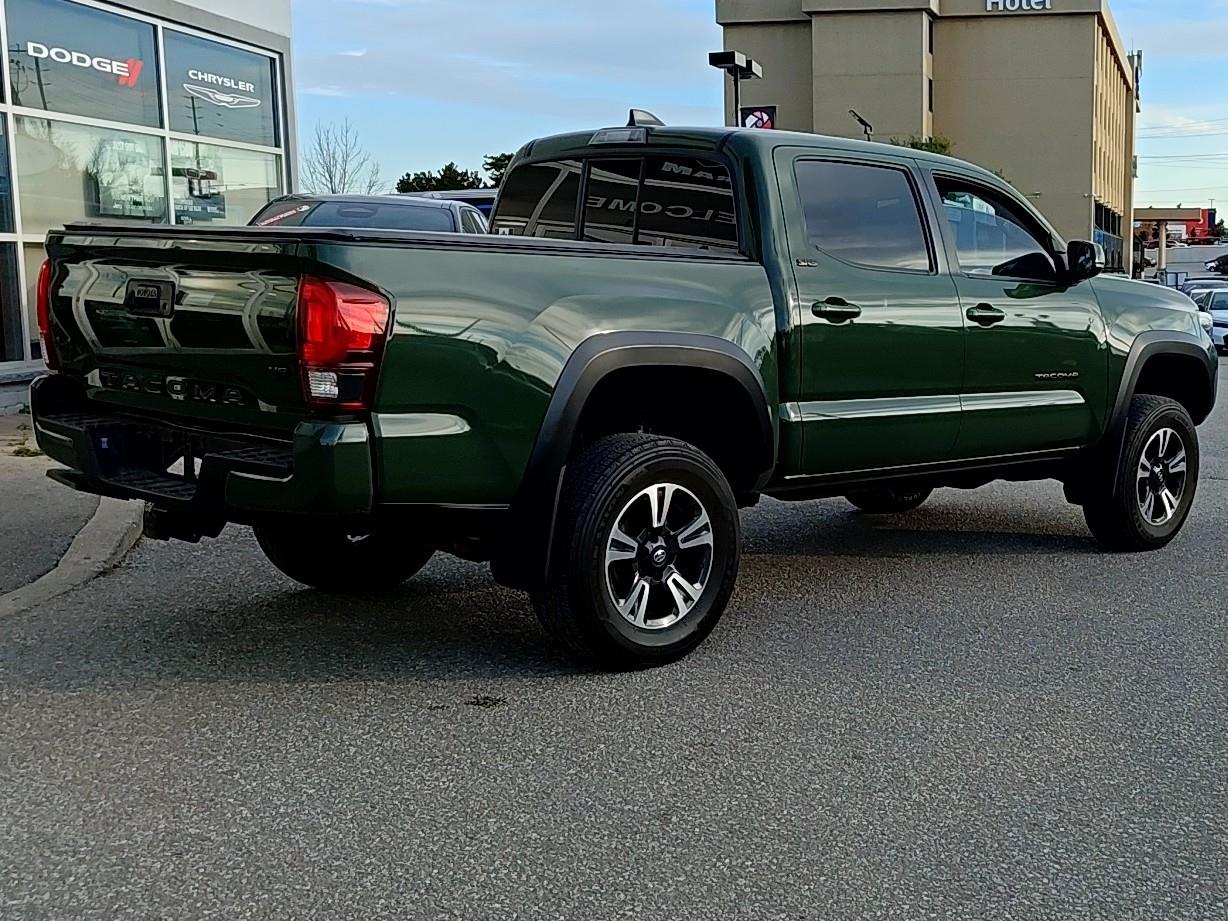 Image 7
