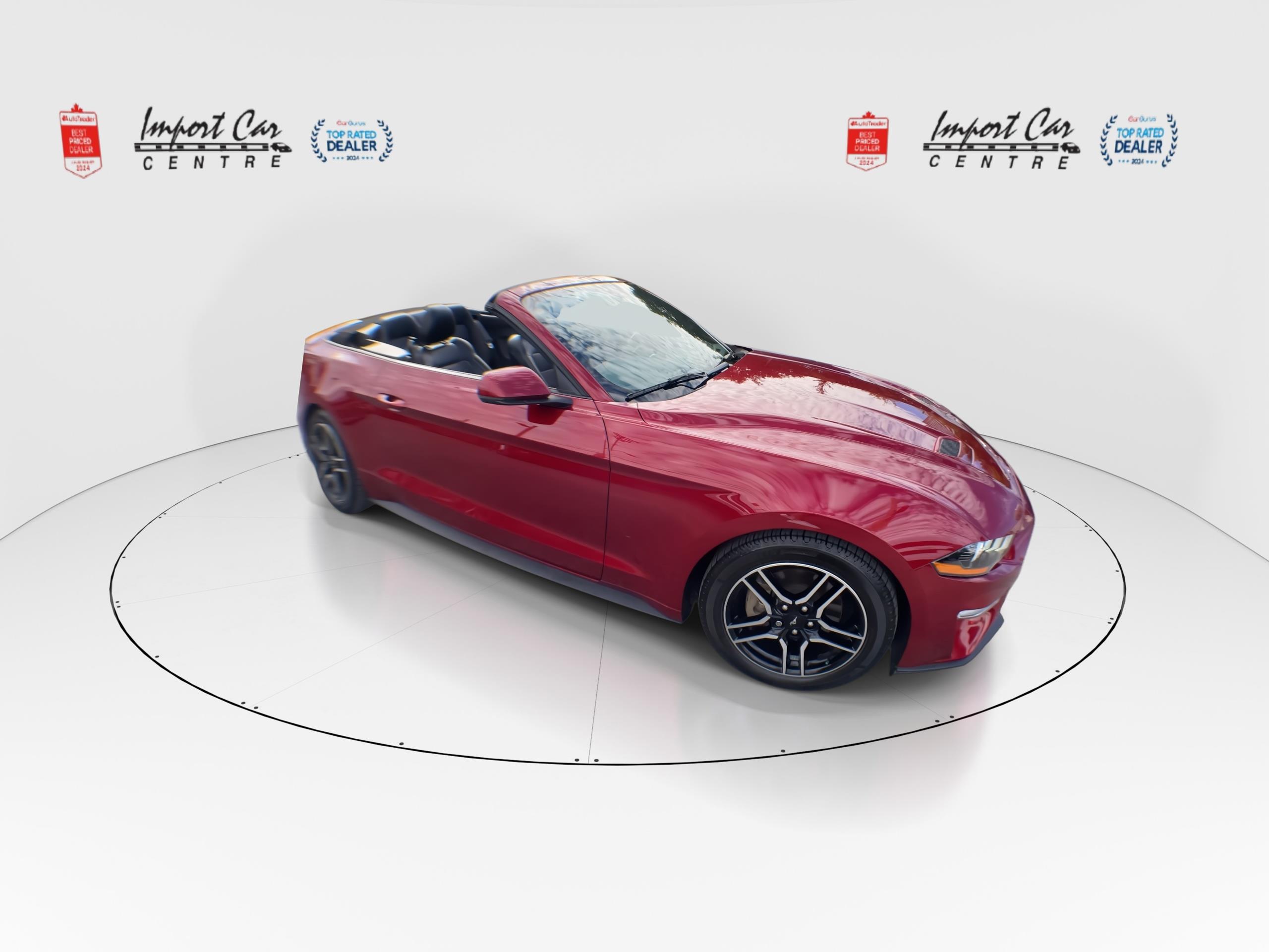2019 Ford Mustang