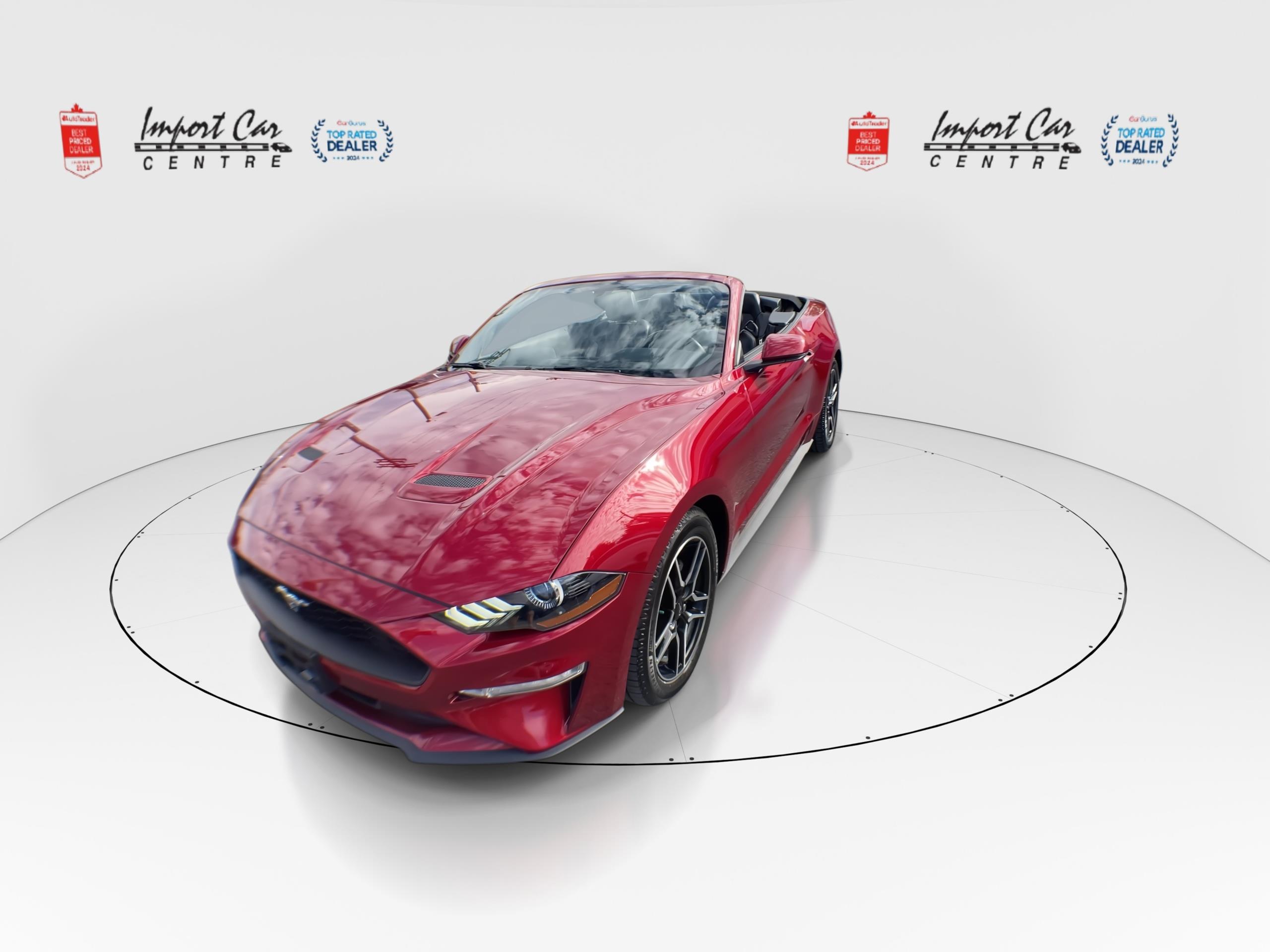 2019 Ford Mustang