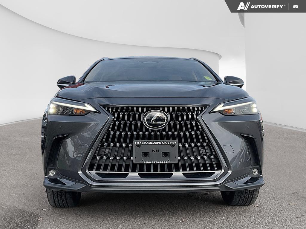2023 Lexus NX 350