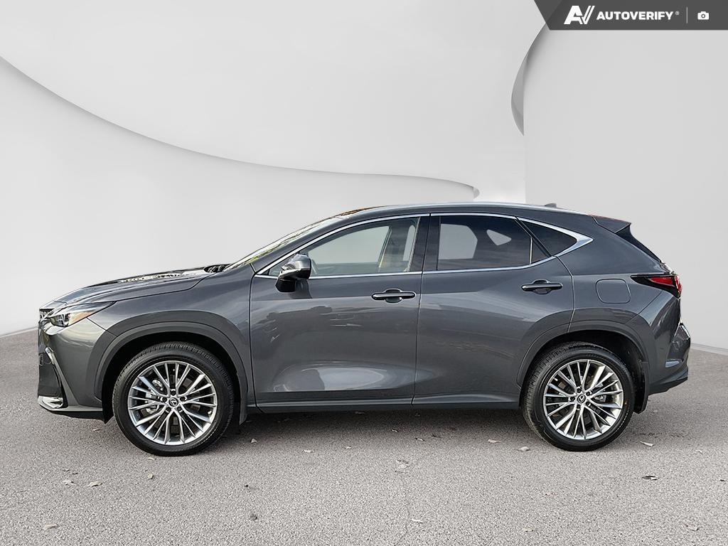 2023 Lexus NX 350