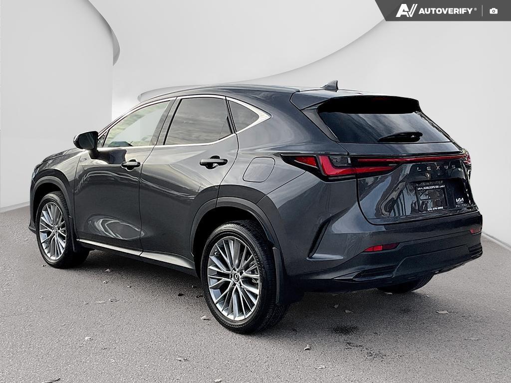 2023 Lexus NX 350