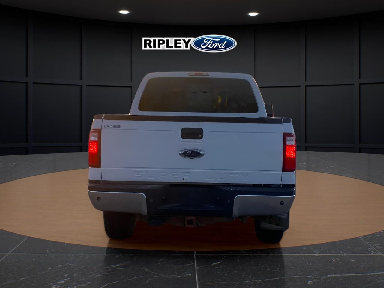 Image 5