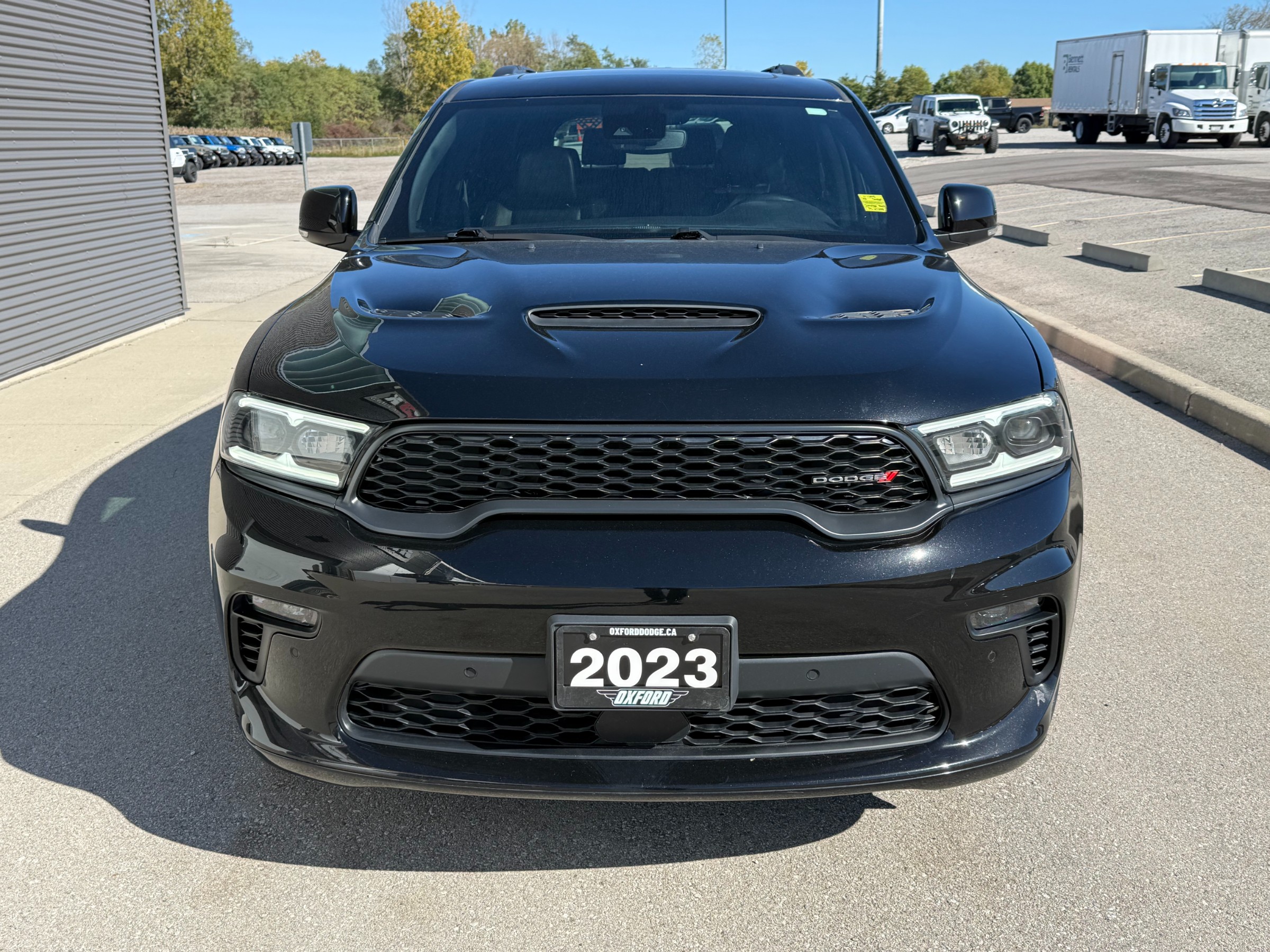 Image 6
