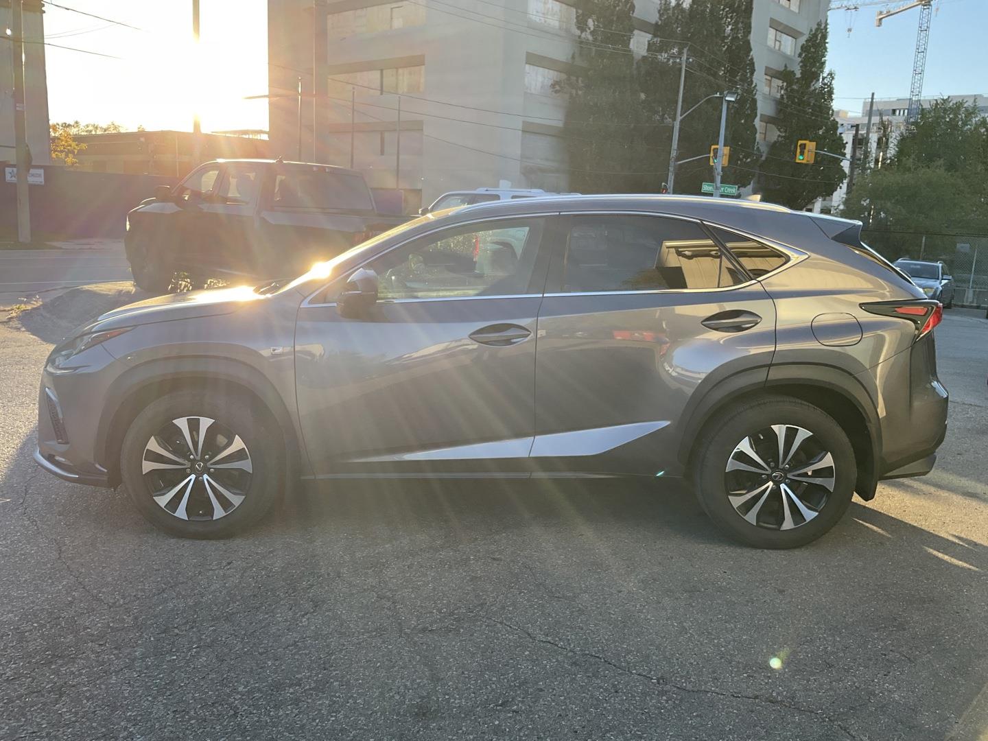 2019 Lexus NX 300