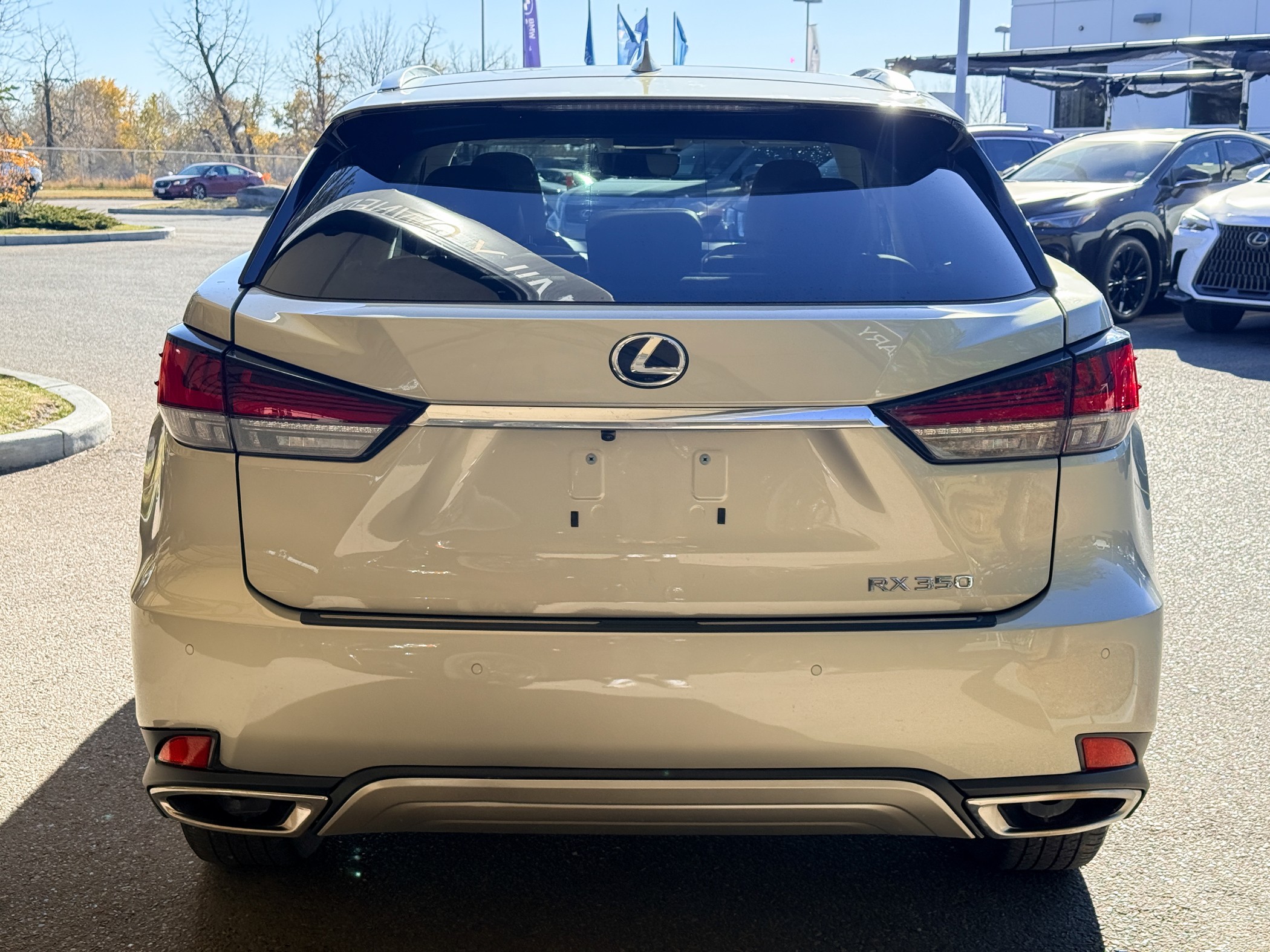 2021 Lexus RX 350