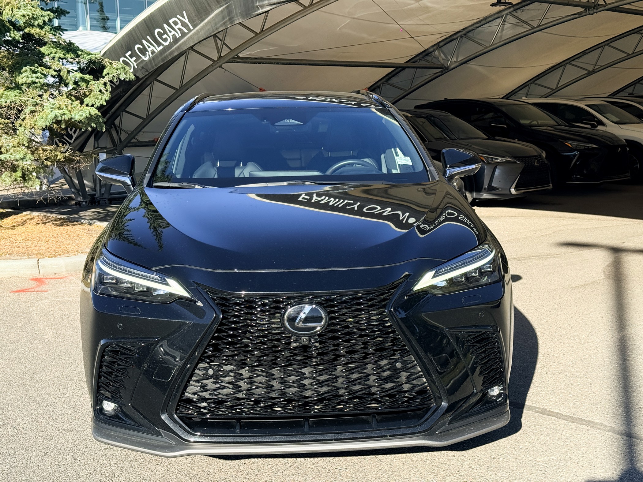 2023 Lexus NX 350