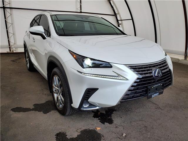 NX 300h