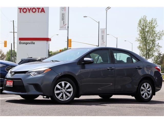 Corolla