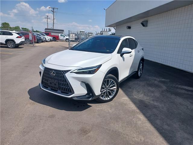 NX 350h