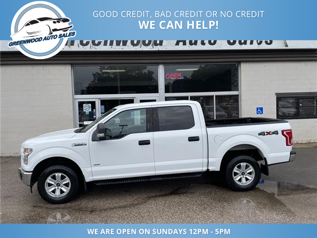 2017 Ford F-150 XLT (Stk: 17-55716) in Greenwood - Image 1 of 21