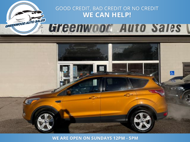 2016 Ford Escape SE (Stk: 16-31186) in Greenwood - Image 1 of 18