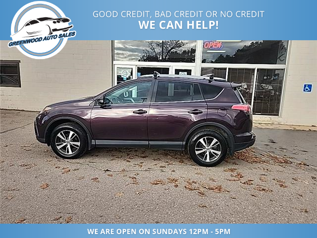 2017 Toyota RAV4 XLE (Stk: 17-64426) in Greenwood - Image 1 of 12