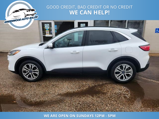 2021 Ford Escape SEL (Stk: 21-41124) in Greenwood - Image 1 of 20