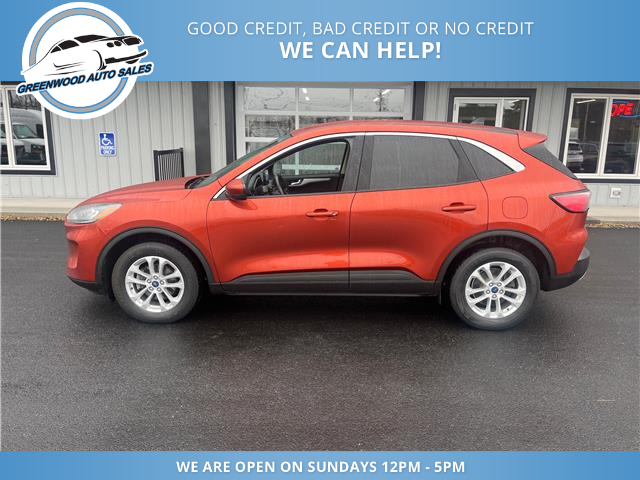 2020 Ford Escape SE (Stk: 20-42171) in Greenwood - Image 1 of 16