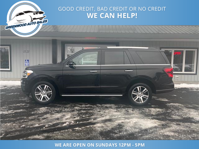 2022 Ford Expedition Limited (Stk: 22-A12199) in Greenwood - Image 1 of 19
