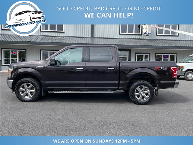 2019 Ford F-150 XLT (Stk: 19-C67491) in Greenwood - Image 1 of 29