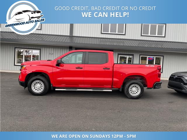 2022 Chevrolet Silverado 1500 Work Truck (Stk: 22-508658) in Greenwood - Image 1 of 17