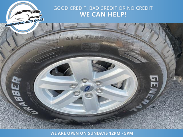 2024 Ford F-150 XL (Stk: 24-E53607) in Greenwood - Image 9 of 23 2024 Ford F-150 XL (Stk: 24-E53607) in Greenwood - Image 9 of 23