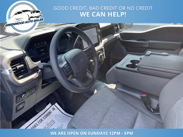 2024 Ford F-150 XL (Stk: 24-E53607) in Greenwood - Image 21 of 23 2024 Ford F-150 XL (Stk: 24-E53607) in Greenwood - Image 21 of 23