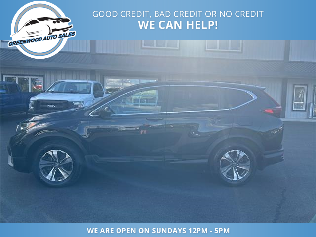 2021 Honda CR-V LX (Stk: 21-003462) in Greenwood - Image 1 of 20