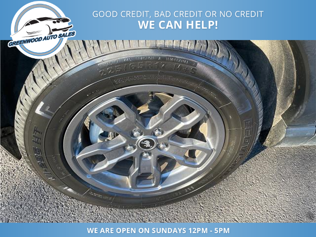 2024 Ford Bronco Sport Big Bend (Stk: 24-E61223) in Greenwood - Image 9 of 21