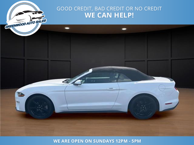 2020 Ford Mustang EcoBoost (Stk: 20-157219) in Greenwood - Image 1 of 22