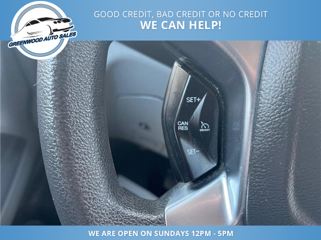 2019 Ford Transit-250 Base (Stk: 19-A45406) in Greenwood - Image 7 of 19