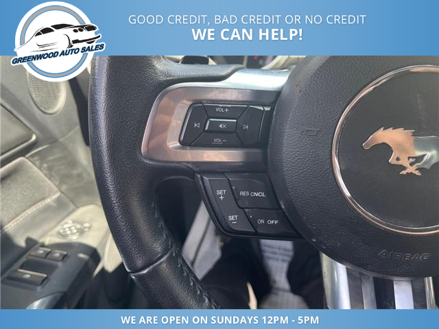 2020 Ford Mustang EcoBoost (Stk: 20-157219) in Greenwood - Image 13 of 22