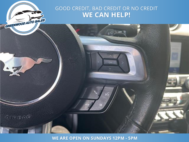 2020 Ford Mustang EcoBoost (Stk: 20-157219) in Greenwood - Image 14 of 22