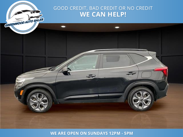 2024 Kia Seltos EX (Stk: 24-505389) in Greenwood - Image 1 of 16