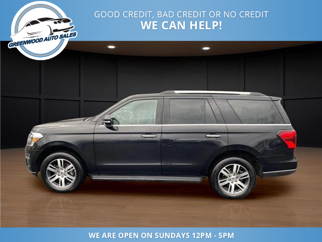 2024 Ford Expedition Limited (Stk: 24-a65162) in Greenwood - Image 1 of 18