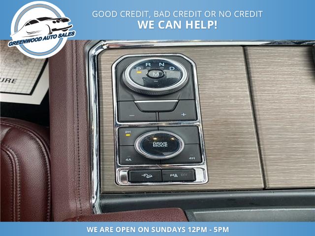 2024 Ford Expedition Limited (Stk: 24-a65162) in Greenwood - Image 17 of 18